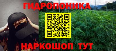 apvp Нальчик