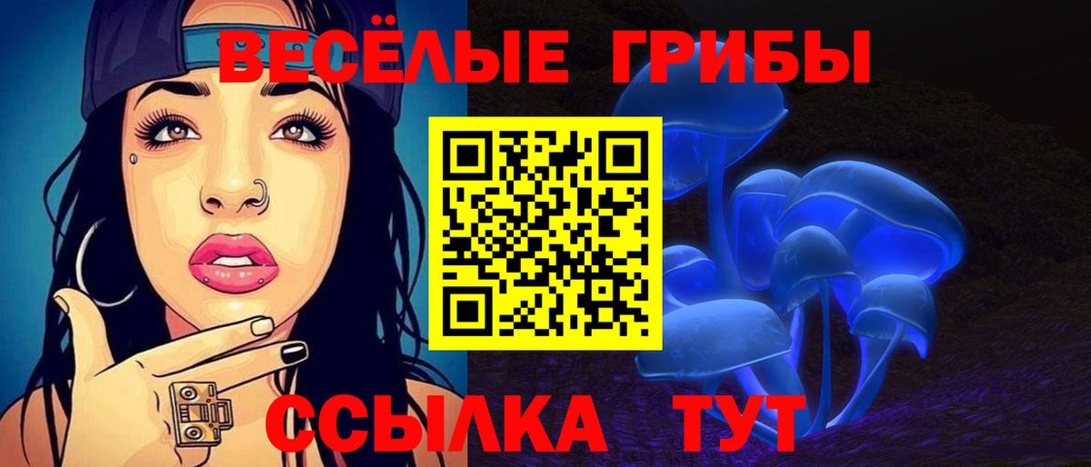 Псилоцибиновые грибы Psilocybine cubensis Тольятти
