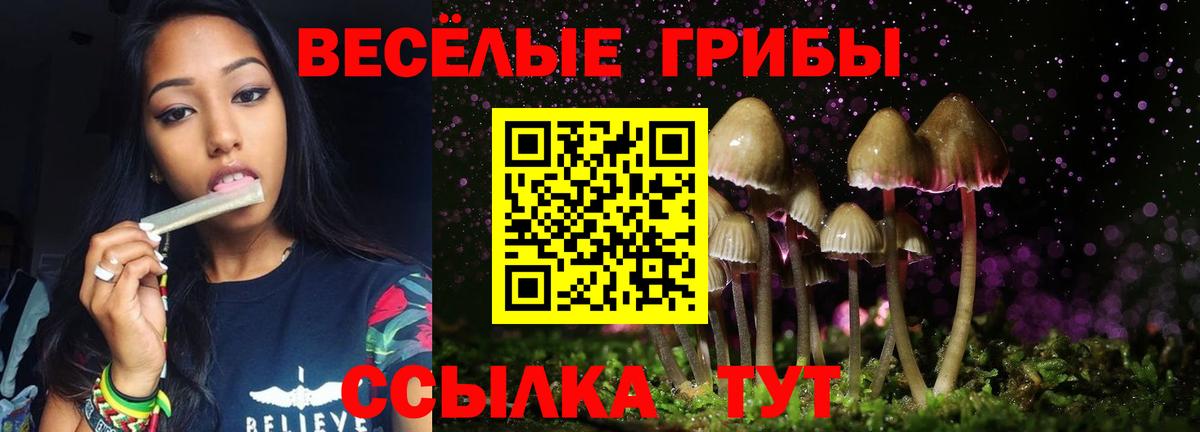 Галлюциногенные грибы Cubensis  Вход с VPN  Тольятти  Псилоцибиновые грибы мицелий 